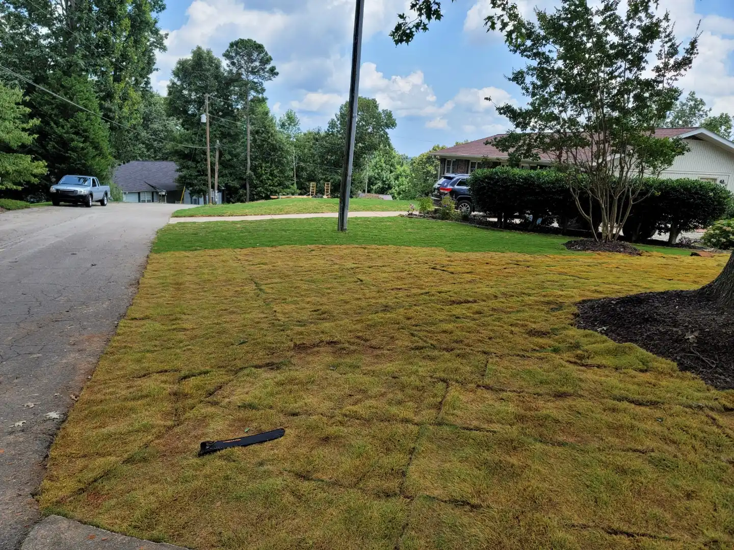 Planting & Design
