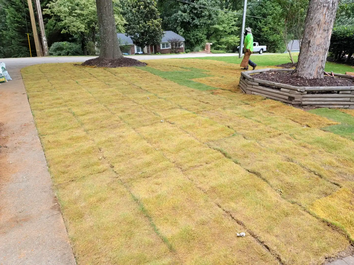 Sod & Lawn Restoration