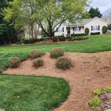 Planting and Design 2