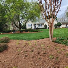 Planting and Design